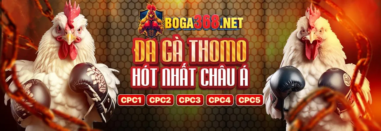 Đá Gà acb8vip nhà cái - Sân chơi cá cược trực tuyến đỉnh cao